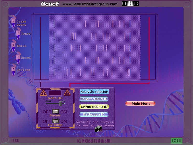 'DNA electrophoresis simulator' DNA electrophoresis simulator